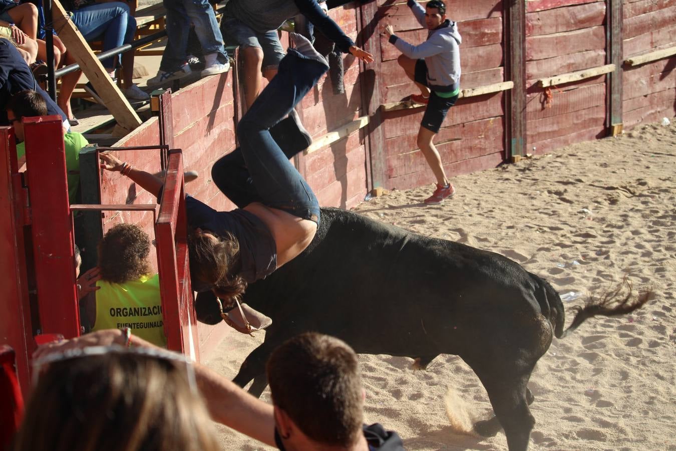 Una joven francesa herida grave al sufrir una cogida en Fuenteguinaldo