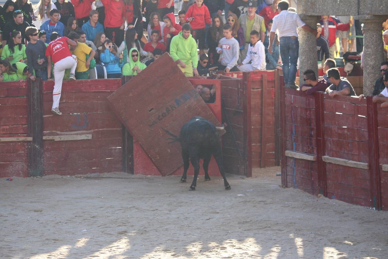 Una joven francesa herida grave al sufrir una cogida en Fuenteguinaldo