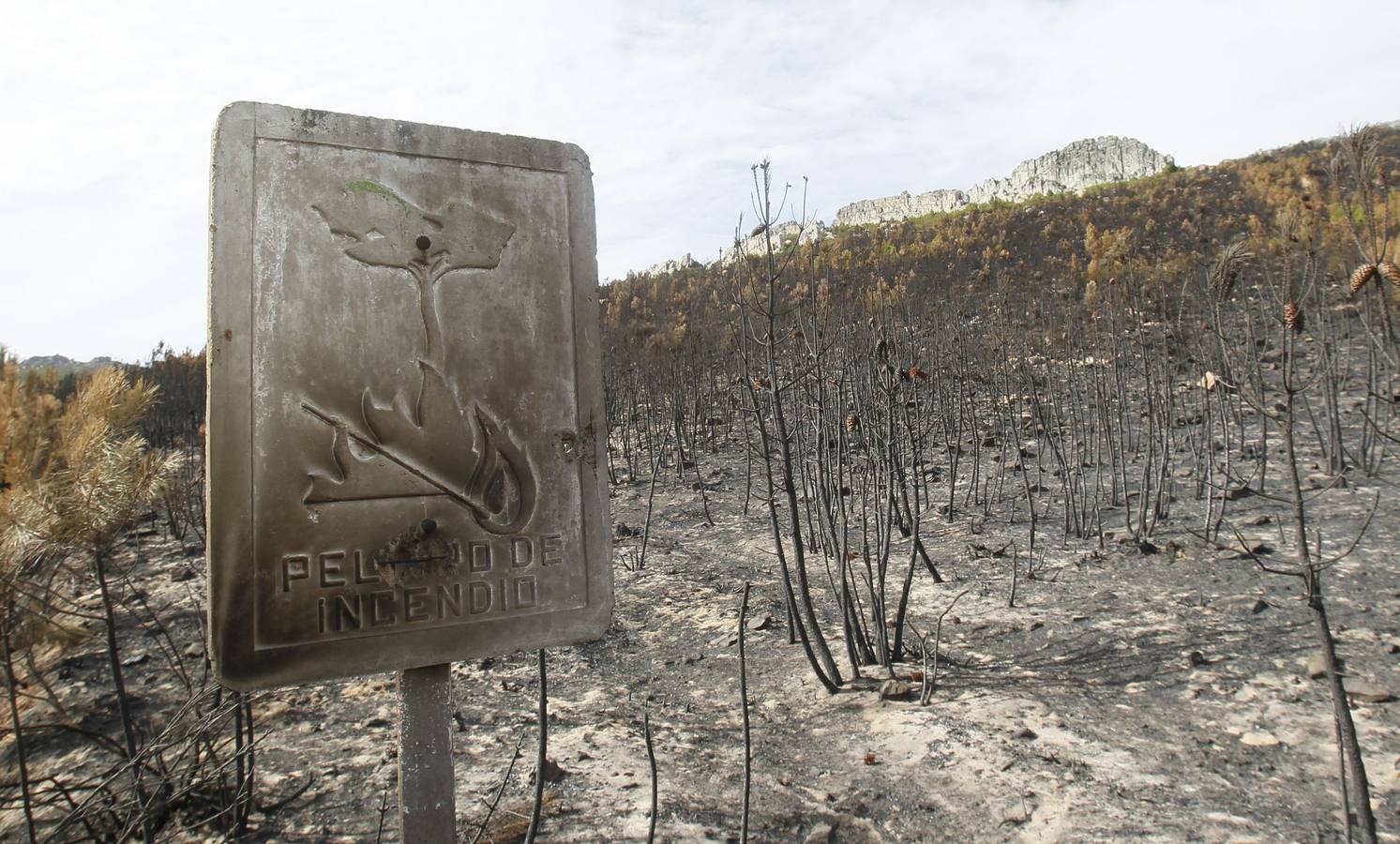 Segundo aniversario del incendio de Castrocontrigo