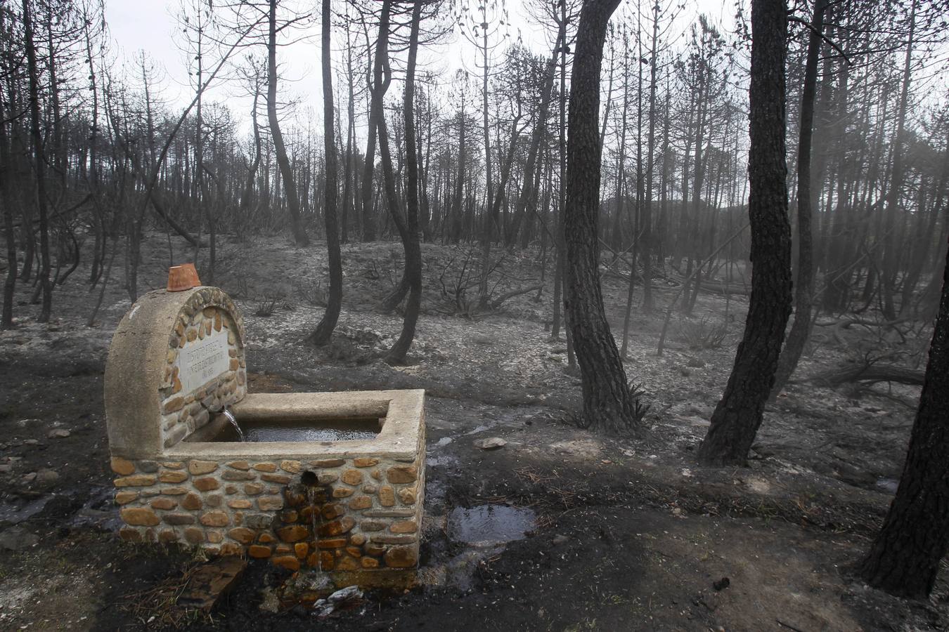 Segundo aniversario del incendio de Castrocontrigo