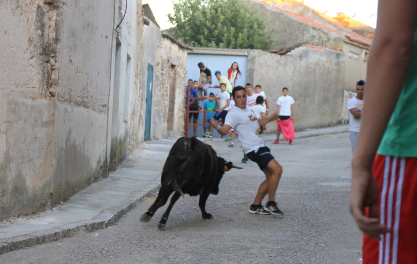 Primer encierro de las fiestas de Ciguñuela