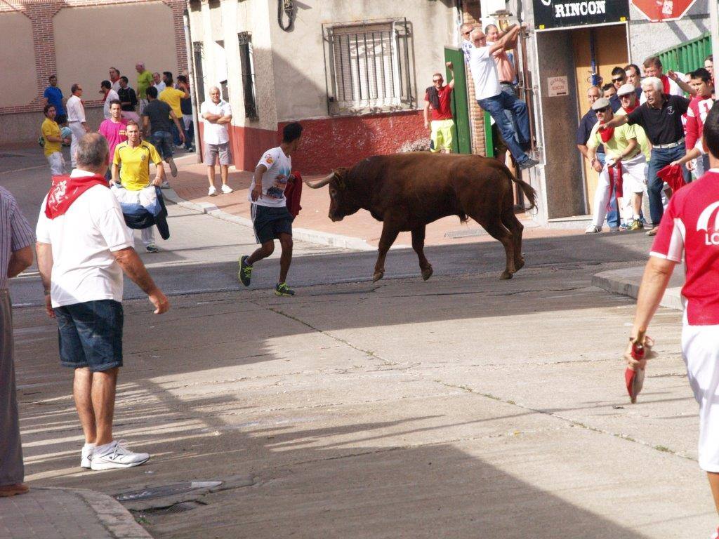 Tercer día de las fiestas de San Agustín en Pedrajas de San Esteban