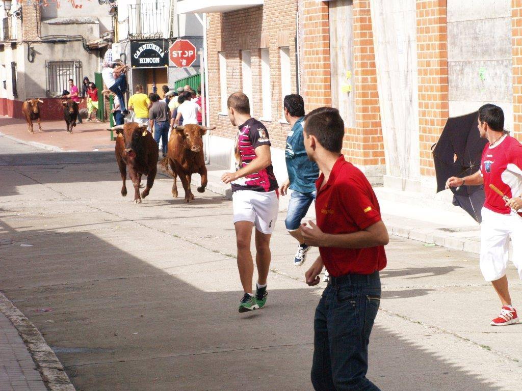 Tercer día de las fiestas de San Agustín en Pedrajas de San Esteban