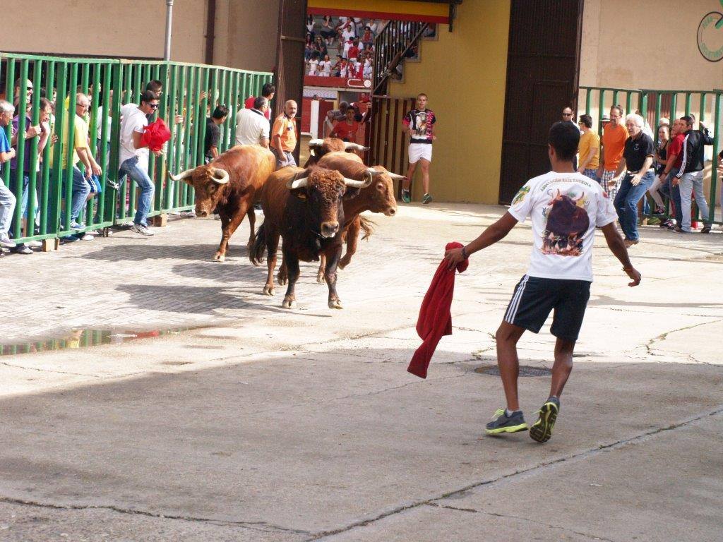 Tercer día de las fiestas de San Agustín en Pedrajas de San Esteban