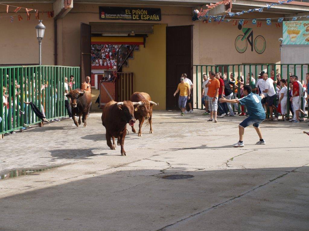 Tercer día de las fiestas de San Agustín en Pedrajas de San Esteban