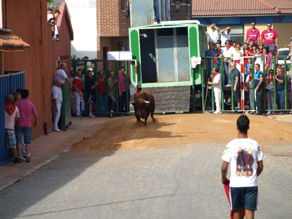 Tercer día de las fiestas de San Agustín en Pedrajas de San Esteban