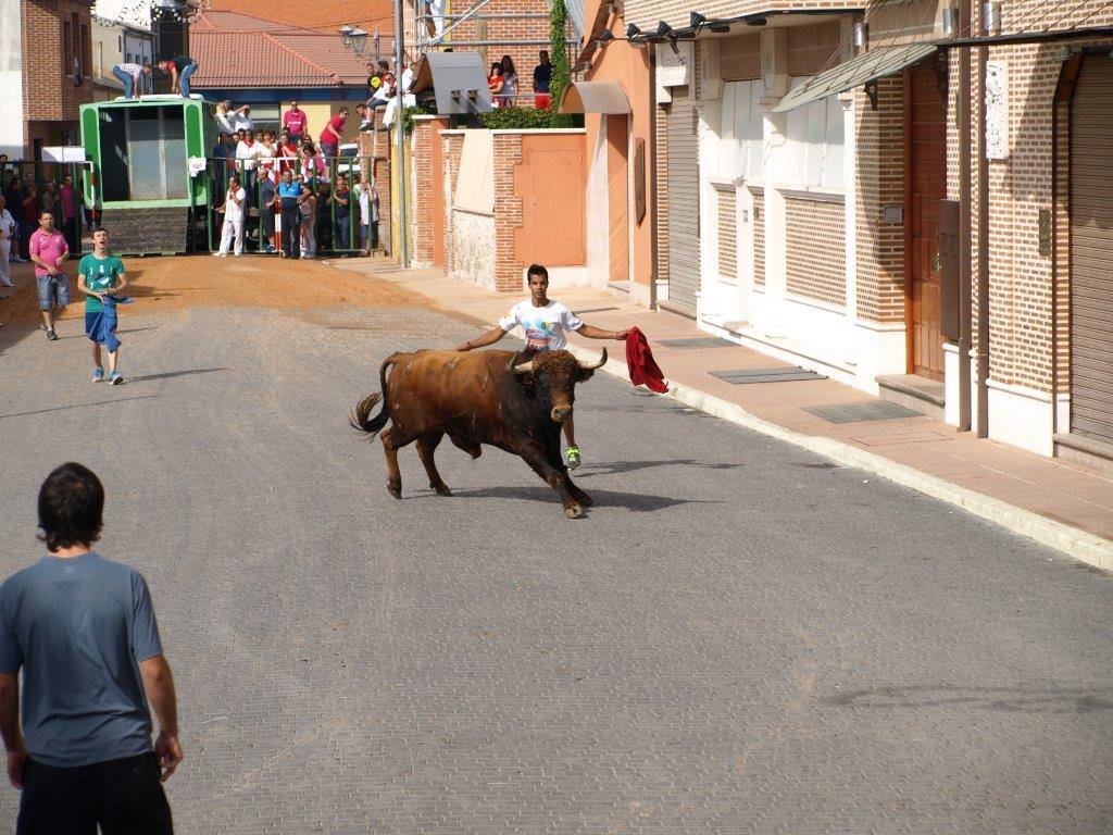 Tercer día de las fiestas de San Agustín en Pedrajas de San Esteban