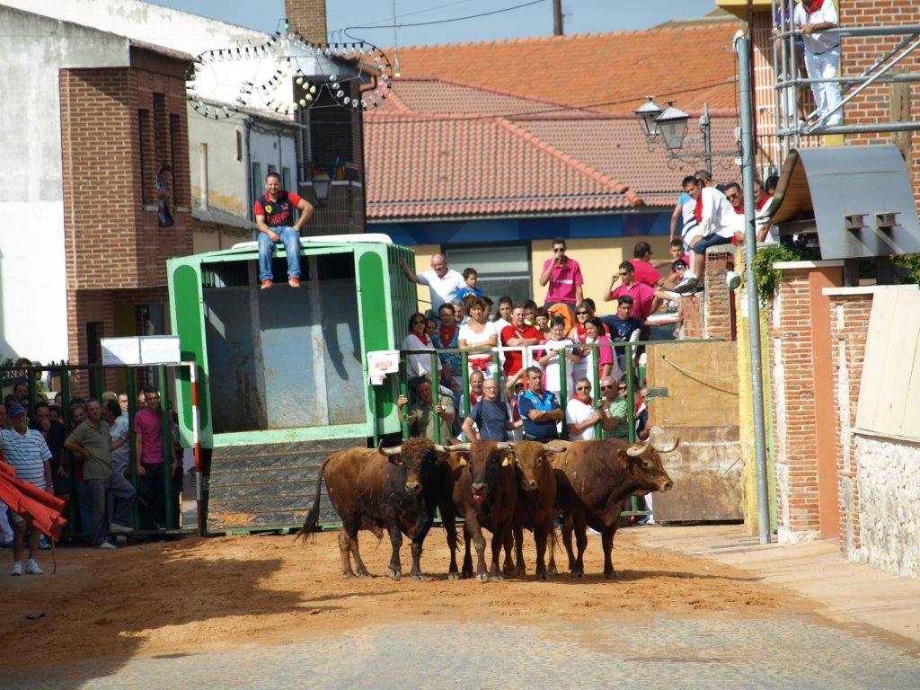 Tercer día de las fiestas de San Agustín en Pedrajas de San Esteban