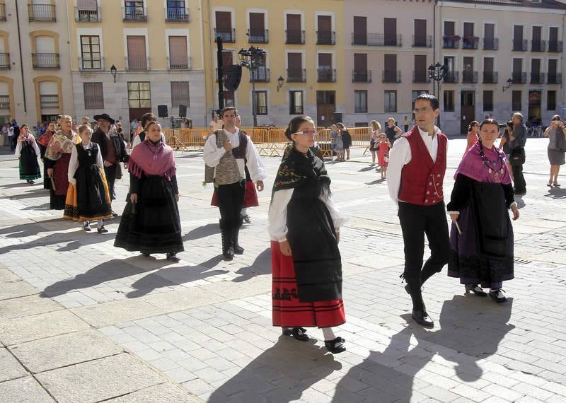 Las peñas palentinas animan el día del patrón, San Antolín