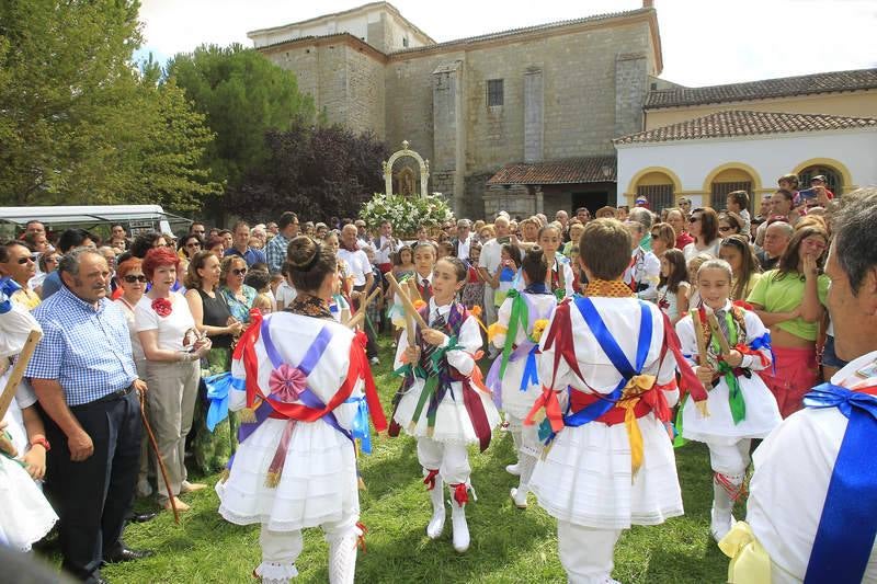 Romería de la Virgen de la Alconada en Ampudia. Palencia