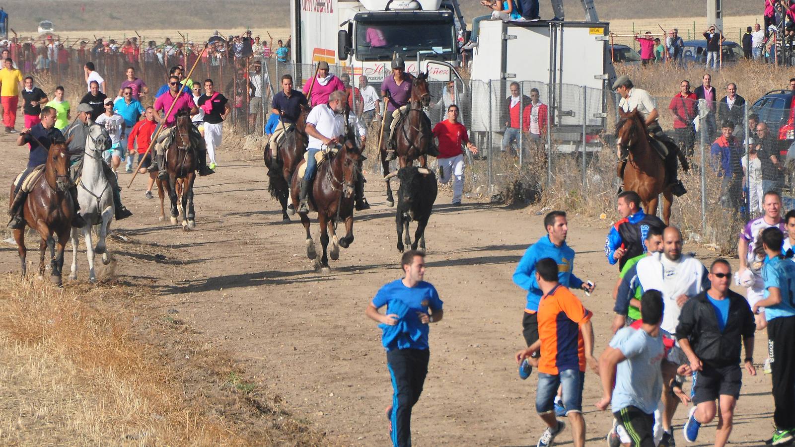 Último encierro de las fiestas de Medina del Campo