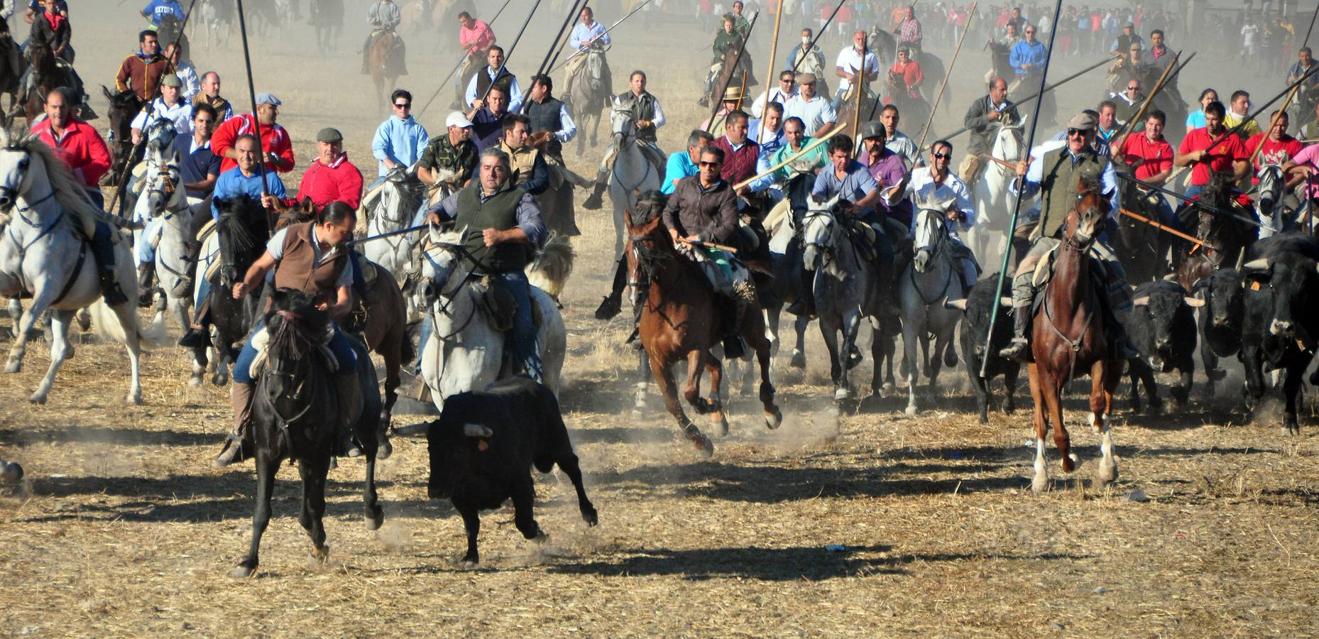 Último encierro de las fiestas de Medina del Campo