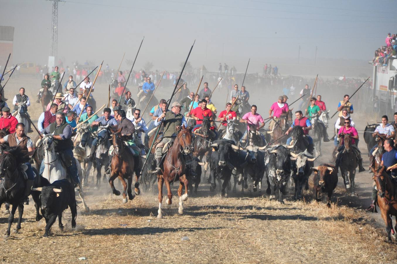 Último encierro de las fiestas de Medina del Campo