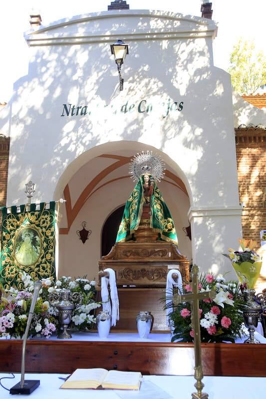 Celebración del día de Nuestra Señora de Carejas en Paredes de Nava. Palencia