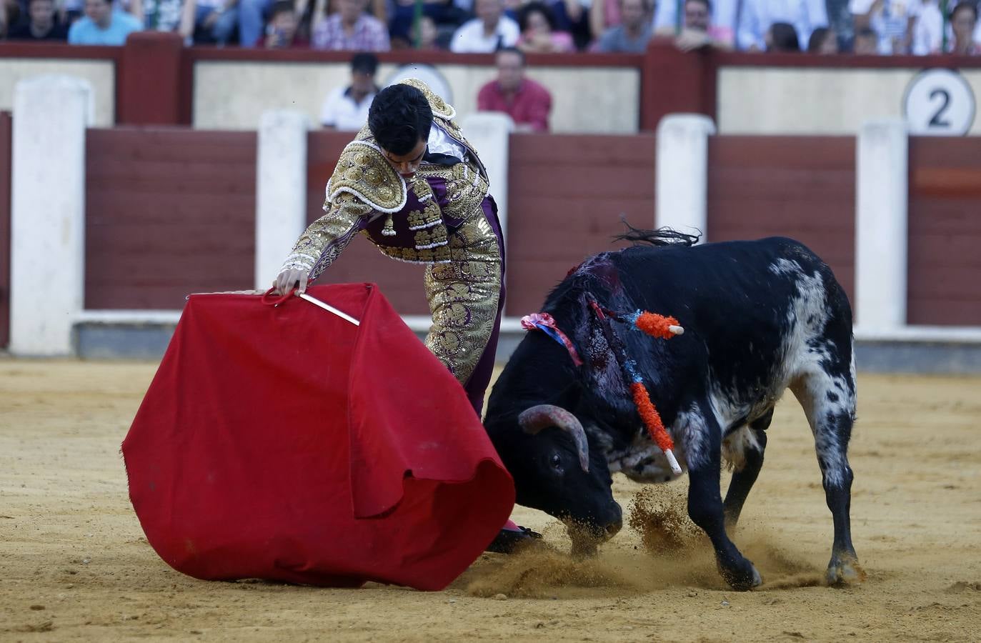 Novillada sin picadores en la Feria de Nuestra Señora de San Lorenzo de Valladolid