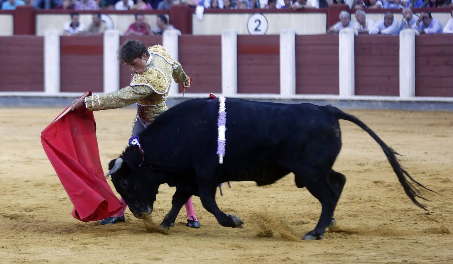 Novillada sin picadores en la Feria de Nuestra Señora de San Lorenzo de Valladolid