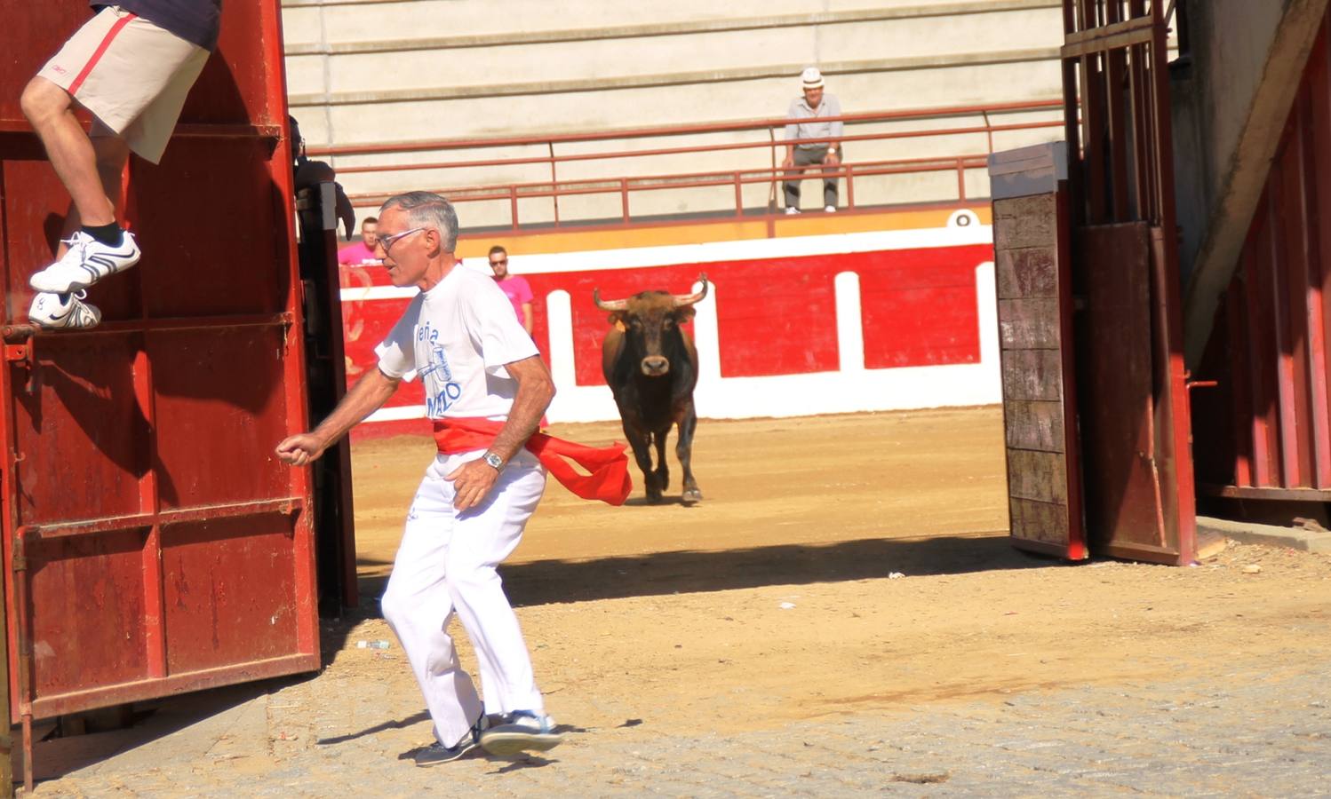 Cuarto encierro de las fiestas de Simancas