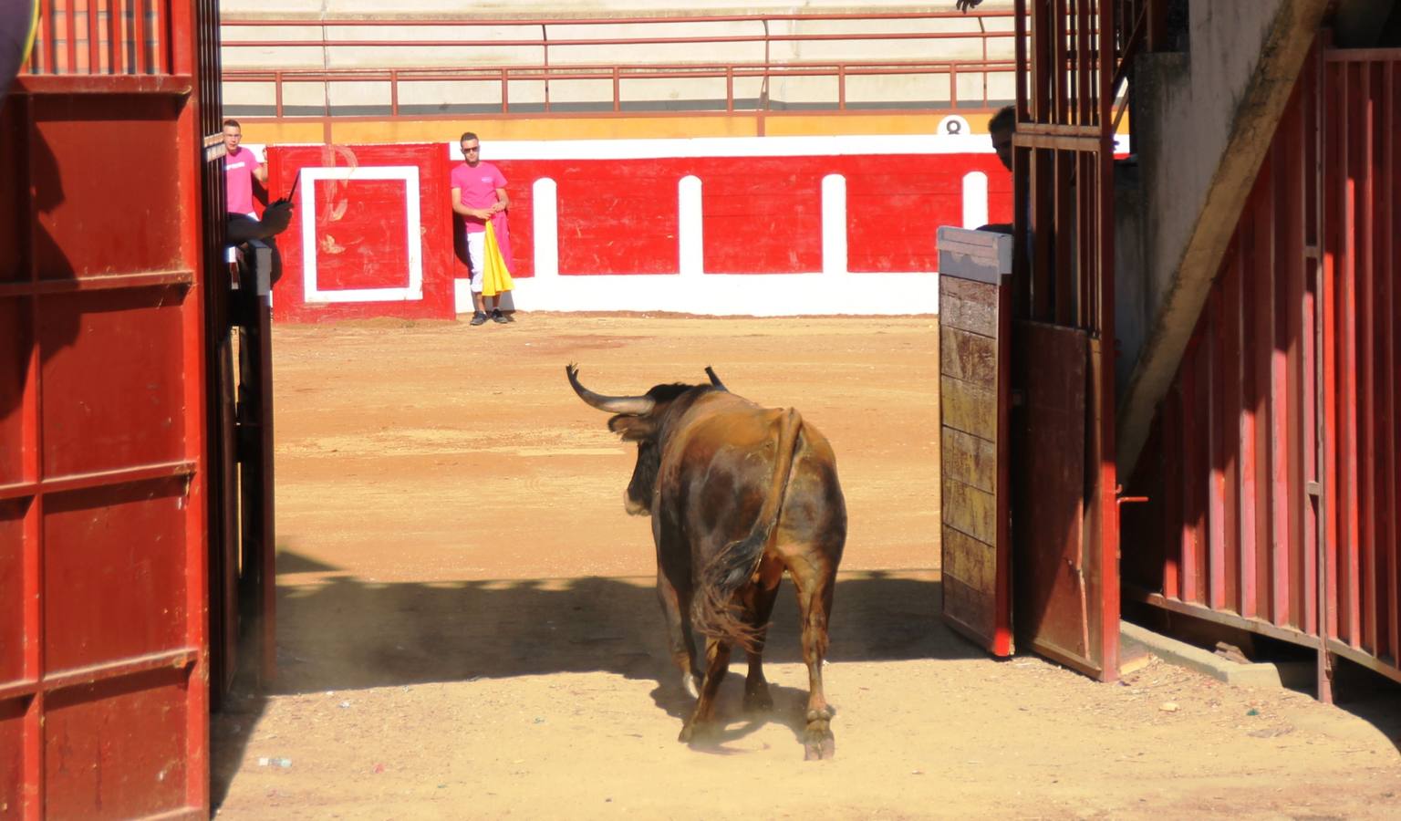 Cuarto encierro de las fiestas de Simancas