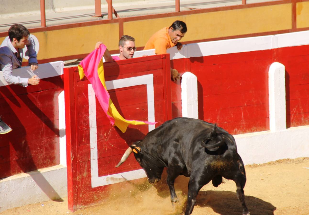 Cuarto encierro de las fiestas de Simancas
