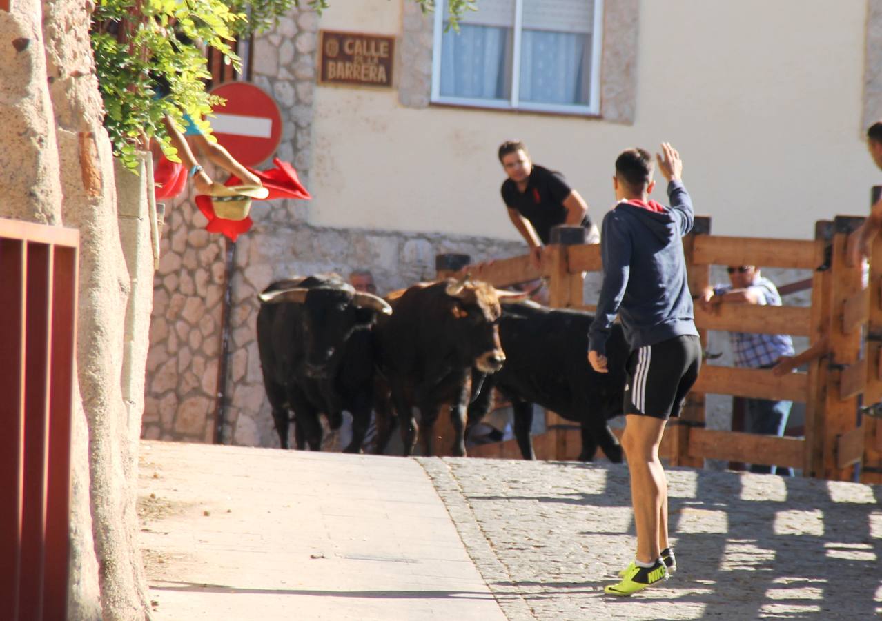 Cuarto encierro de las fiestas de Simancas