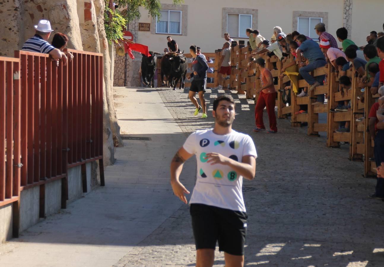 Cuarto encierro de las fiestas de Simancas