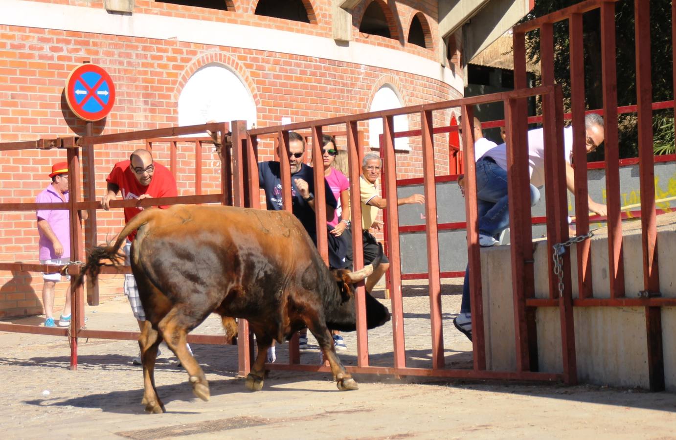 Cuarto encierro de las fiestas de Simancas