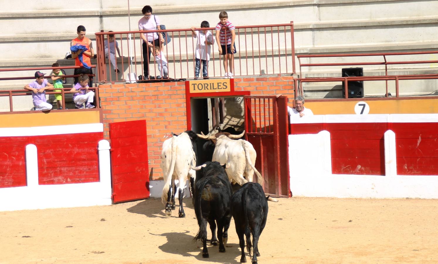 Último encierro de las fiestas de Simancas 2014