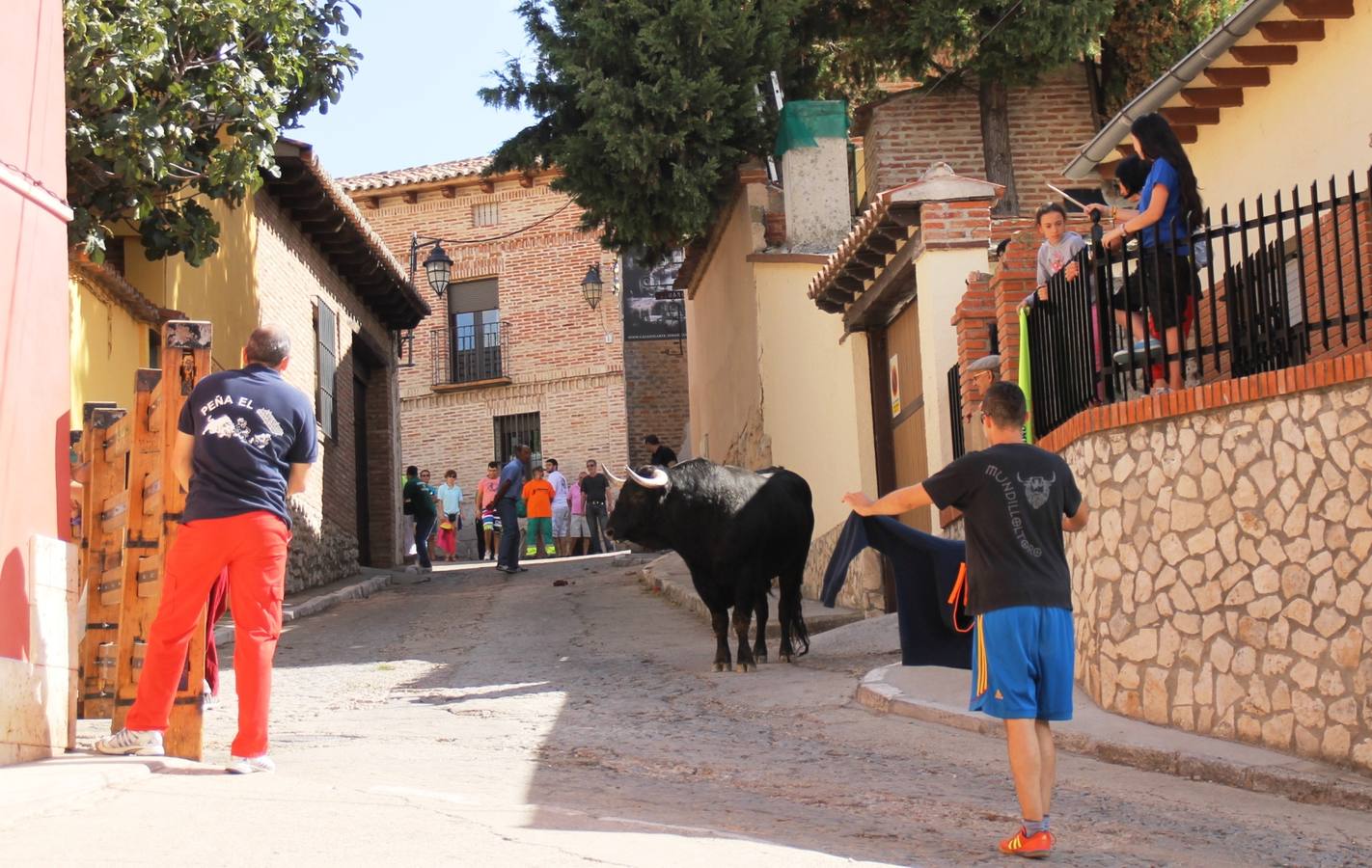 Último encierro de las fiestas de Simancas 2014
