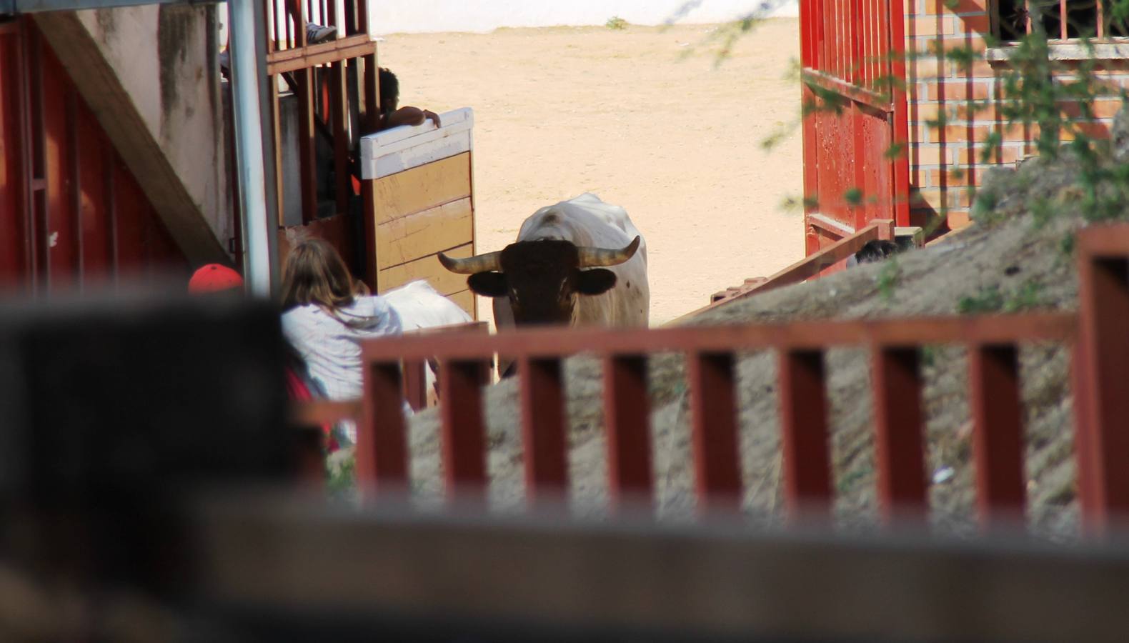 Último encierro de las fiestas de Simancas 2014