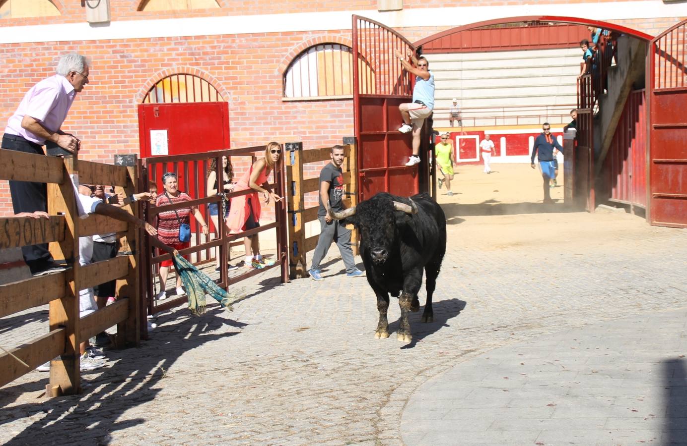 Último encierro de las fiestas de Simancas 2014