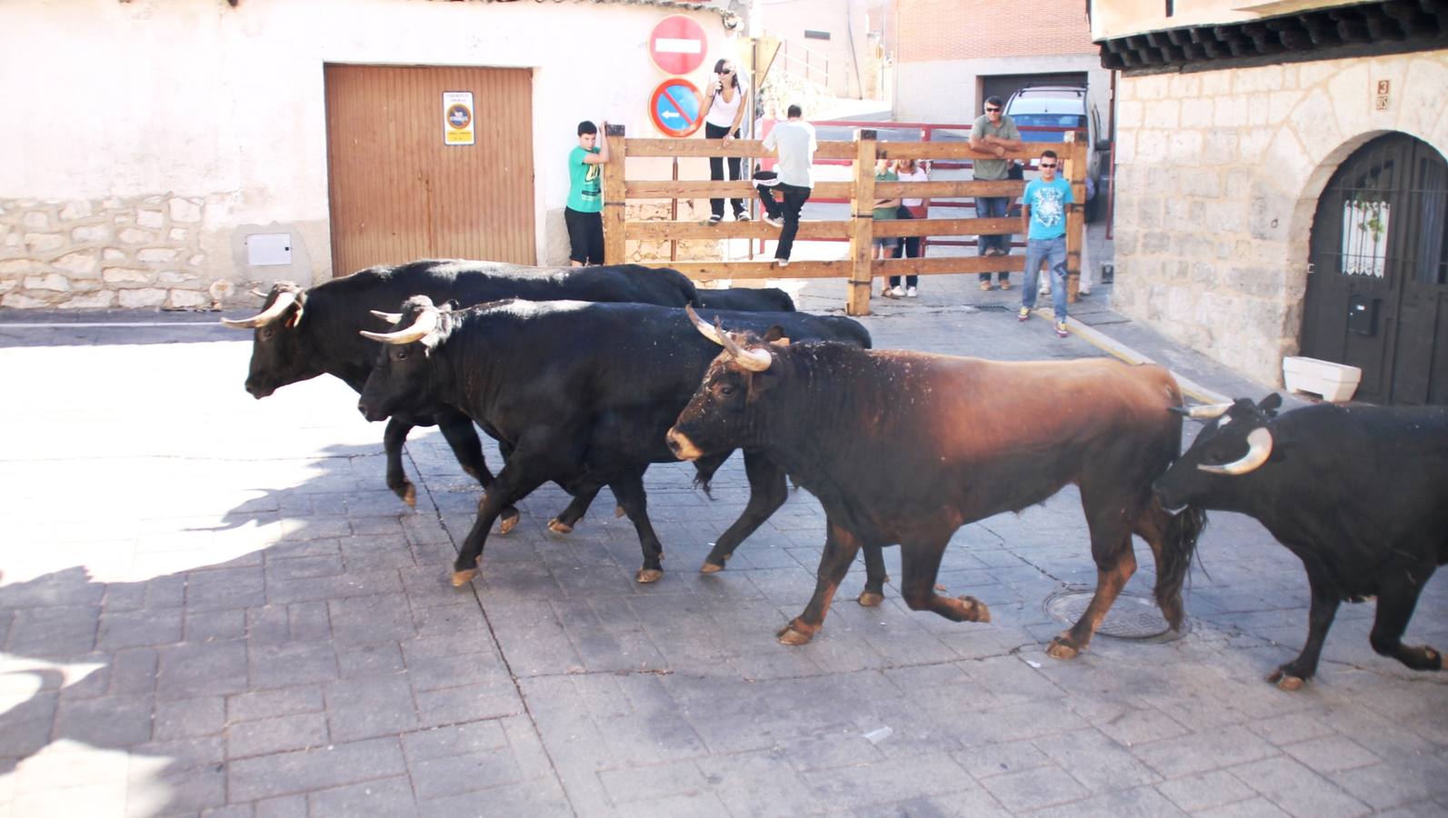 Último encierro de las fiestas de Simancas 2014