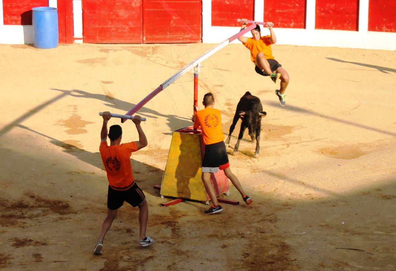 Gran Prix de peñas de las fiestas de Simancas 2014