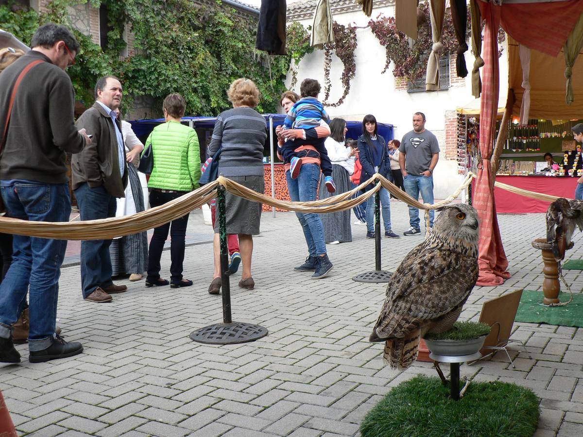 Mercado medieval y fiesta de la vendimia en Quintanilla de Onésimo