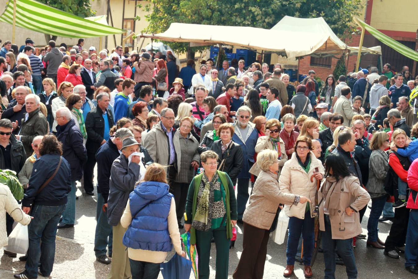 Feria de la cebolla en Palenzuela