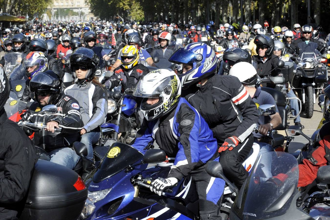 Protesta en apoyo a Pingüinos en Valladolid