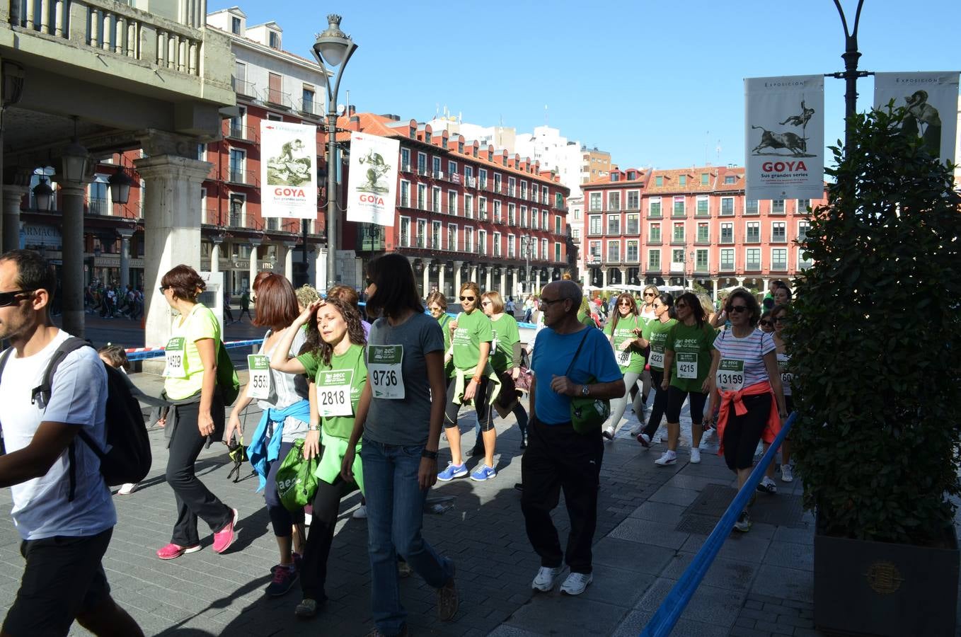 Marcha contra el cáncer en Valladolid (1/4)