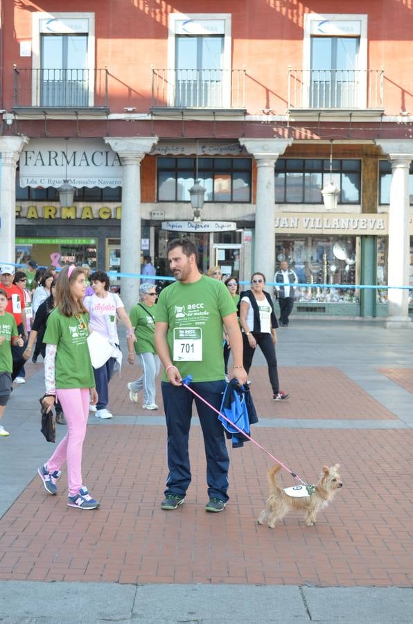 Marcha contra el cáncer en Valladolid (1/4)
