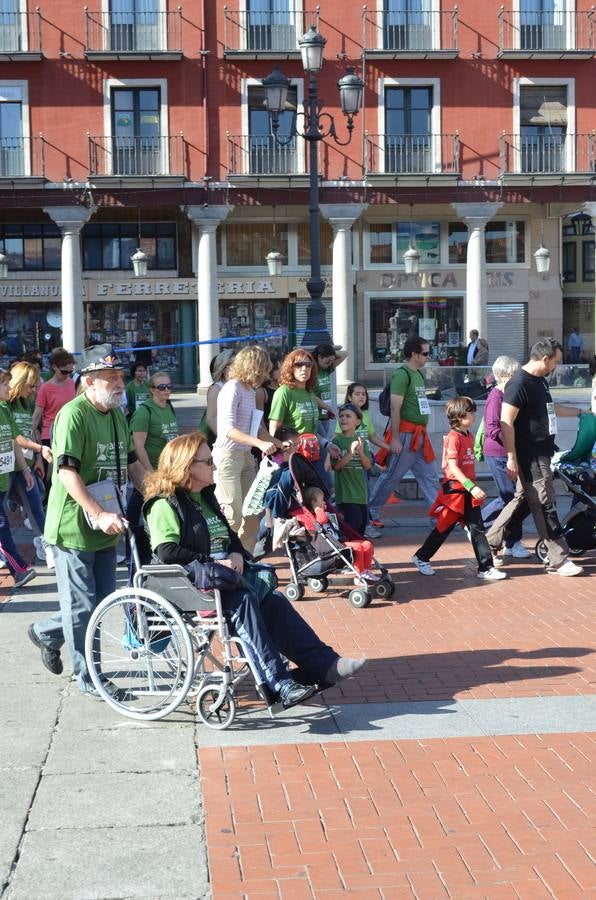 Marcha contra el cáncer en Valladolid (1/4)