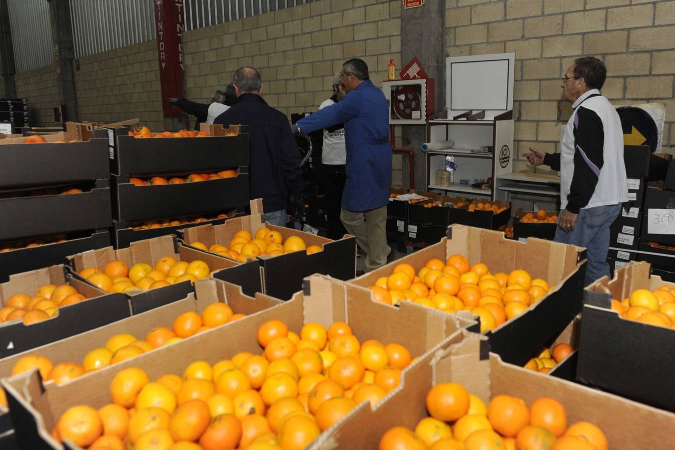 Banco de Alimentos de Valladolid en el Polígono de Argales
