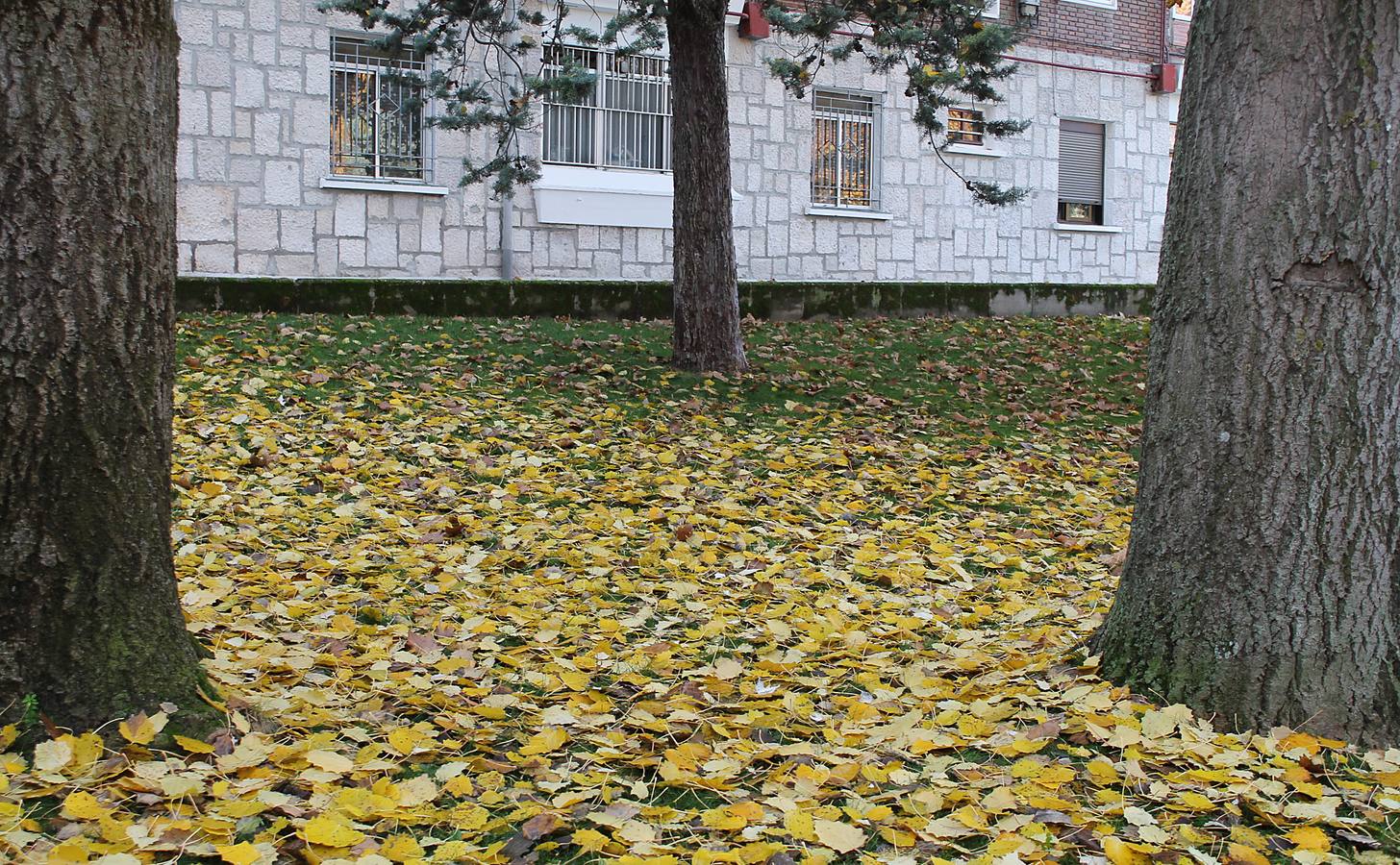 Otoño en Valladolid