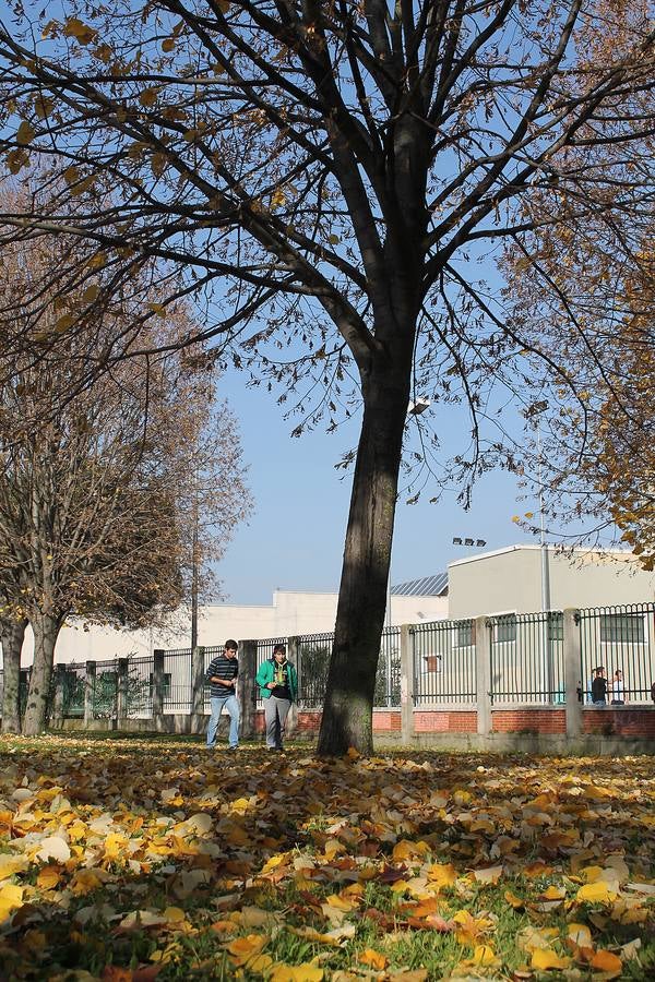 Otoño en Valladolid