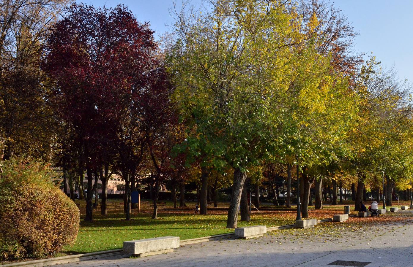 Otoño en Valladolid