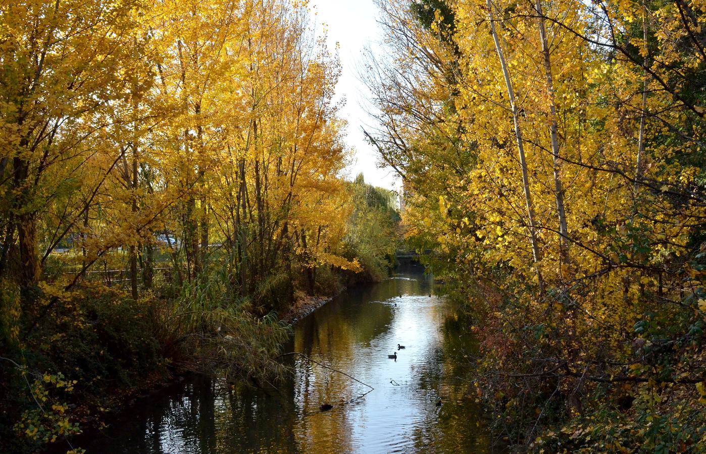 Otoño en Valladolid