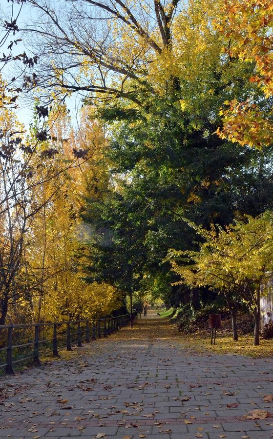 Otoño en Valladolid