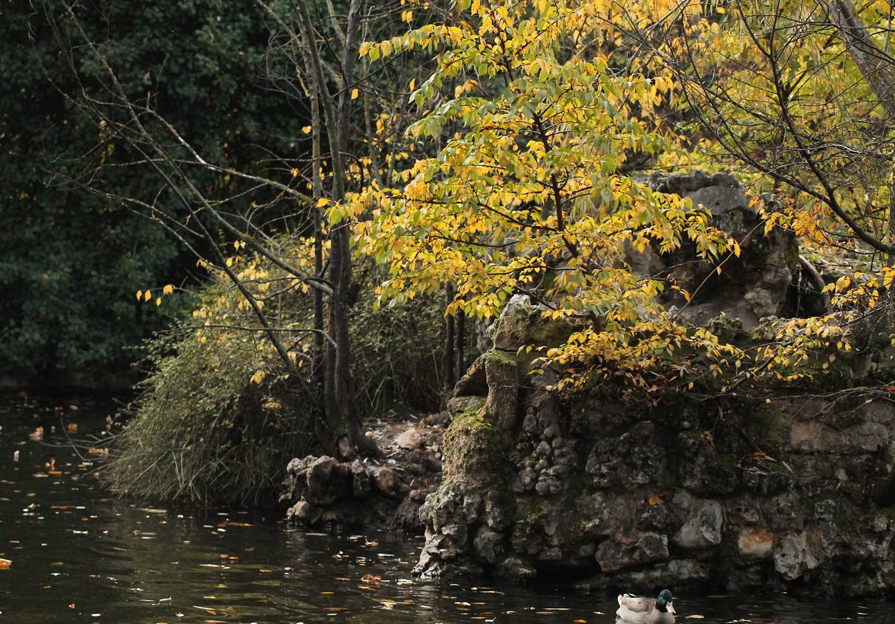 Otoño en el Campo Grande de Valladolid