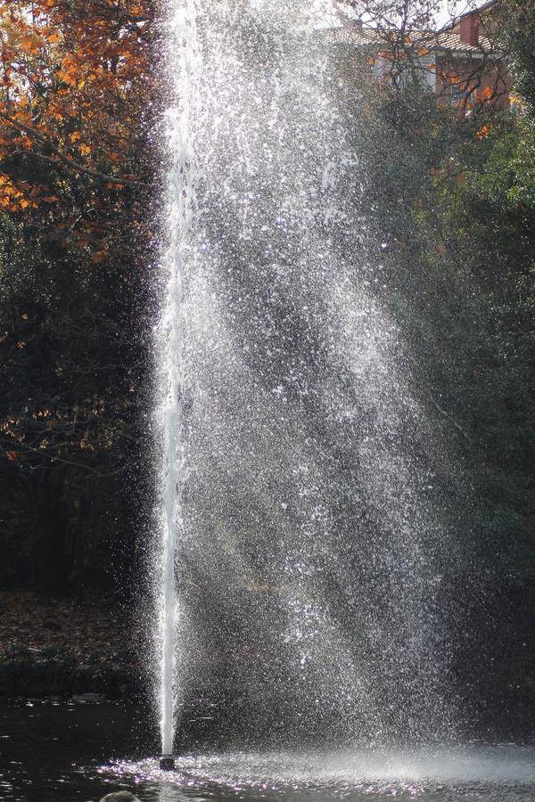 Otoño en el Campo Grande de Valladolid