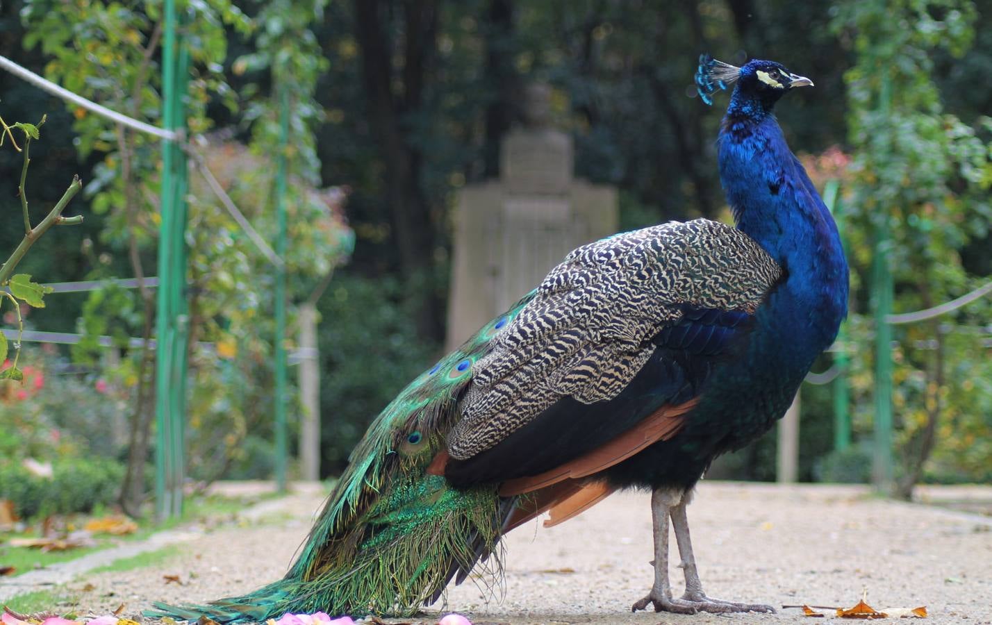 Otoño en el Campo Grande de Valladolid