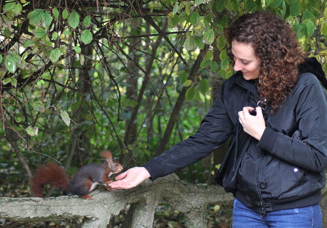 Otoño en el Campo Grande de Valladolid