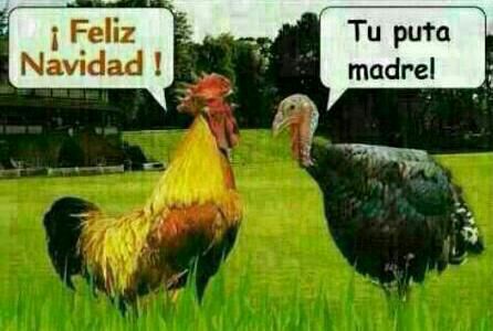 Las felicitaciones más graciosas y atrevidas de Whatsapp para sorprender en Navidad