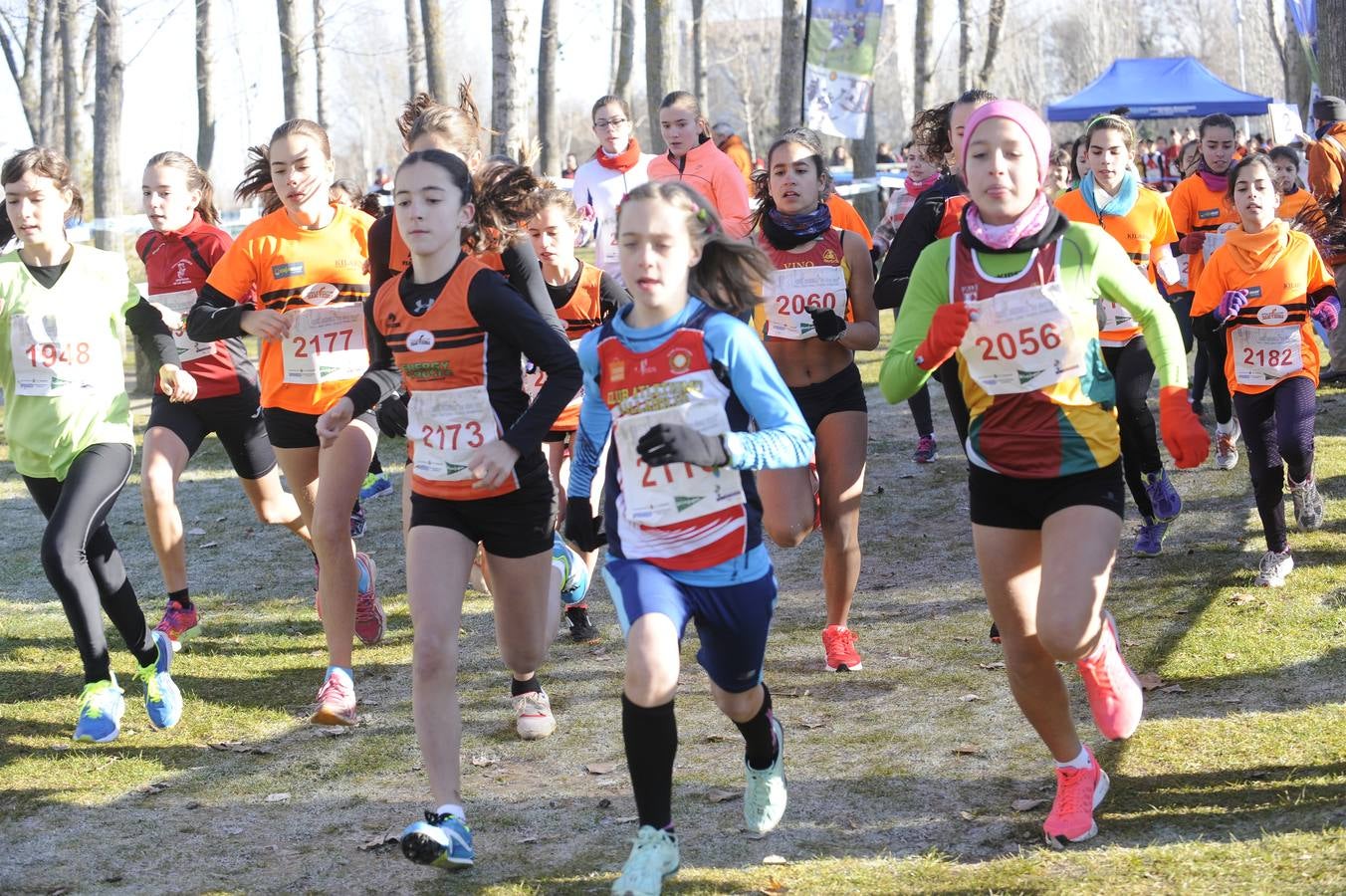 XXXI Cross de las Doce Uvas (3/8)